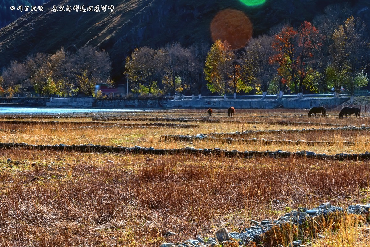 川西甘孜州：康定新都桥 · 理渠河风光