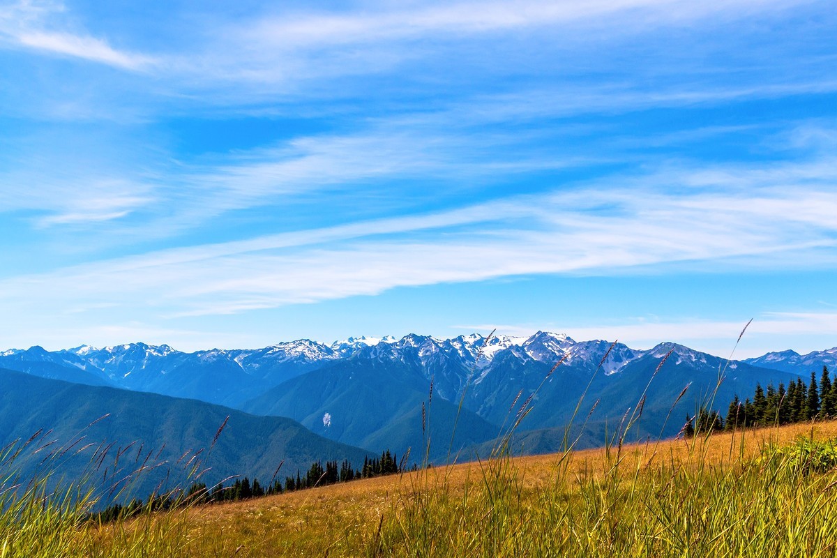加拿大、美国游记（061）：西雅图 · 奥林匹克国家公园之飓风岭-中关村在线摄影论坛