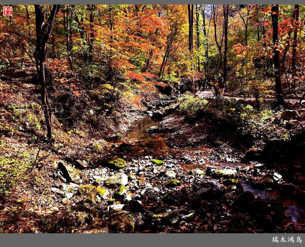 【秋游本溪】6.关门山关不住的秋色