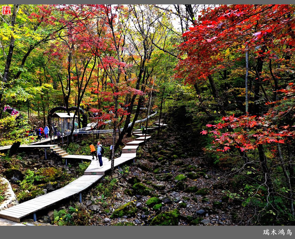 【秋游本溪】6.关门山关不住的秋色