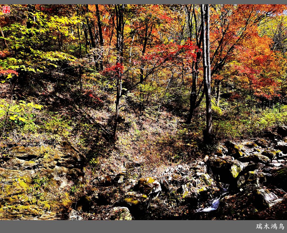 【秋游本溪】6.关门山关不住的秋色