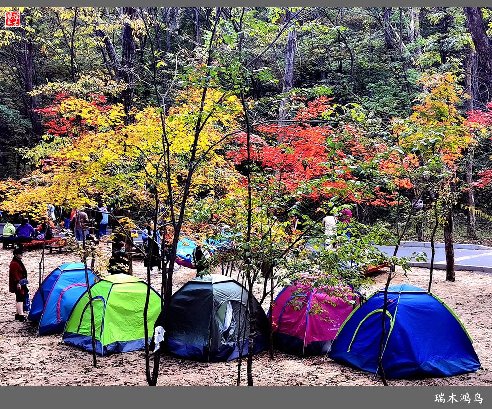 【秋游本溪】6.关门山关不住的秋色