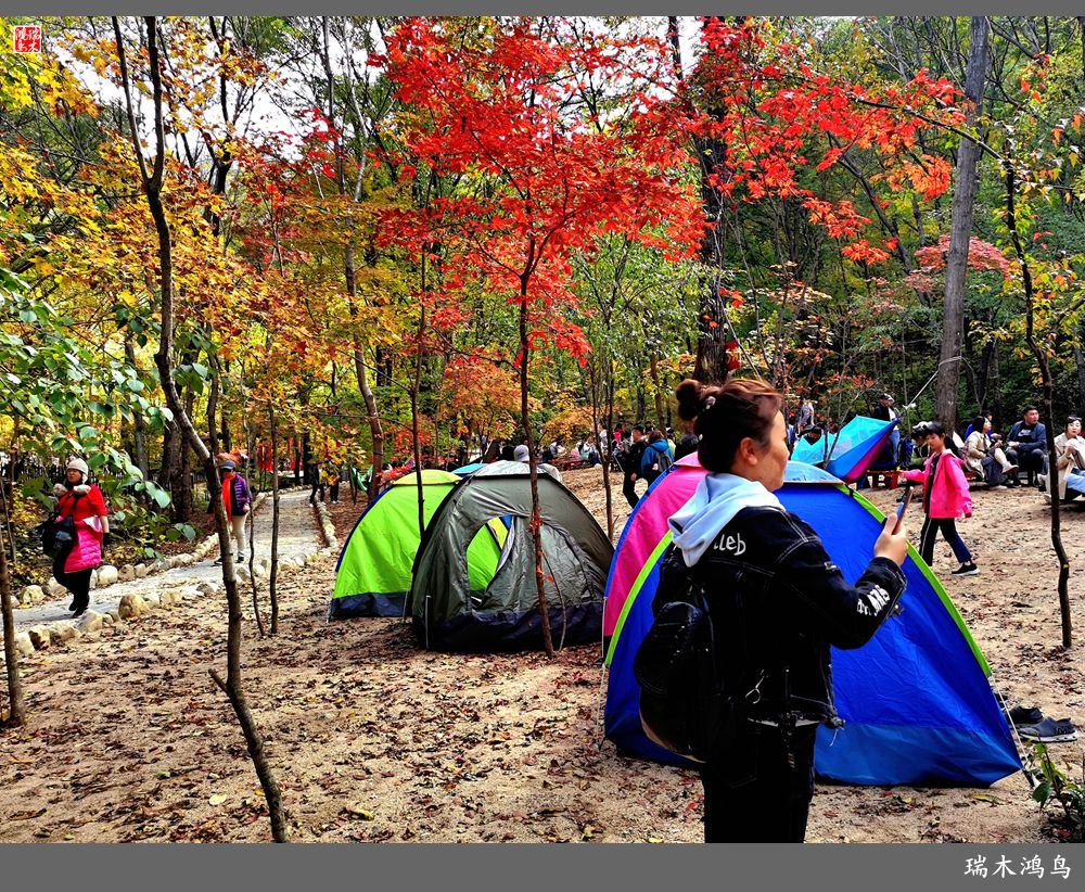 【秋游本溪】6.关门山关不住的秋色