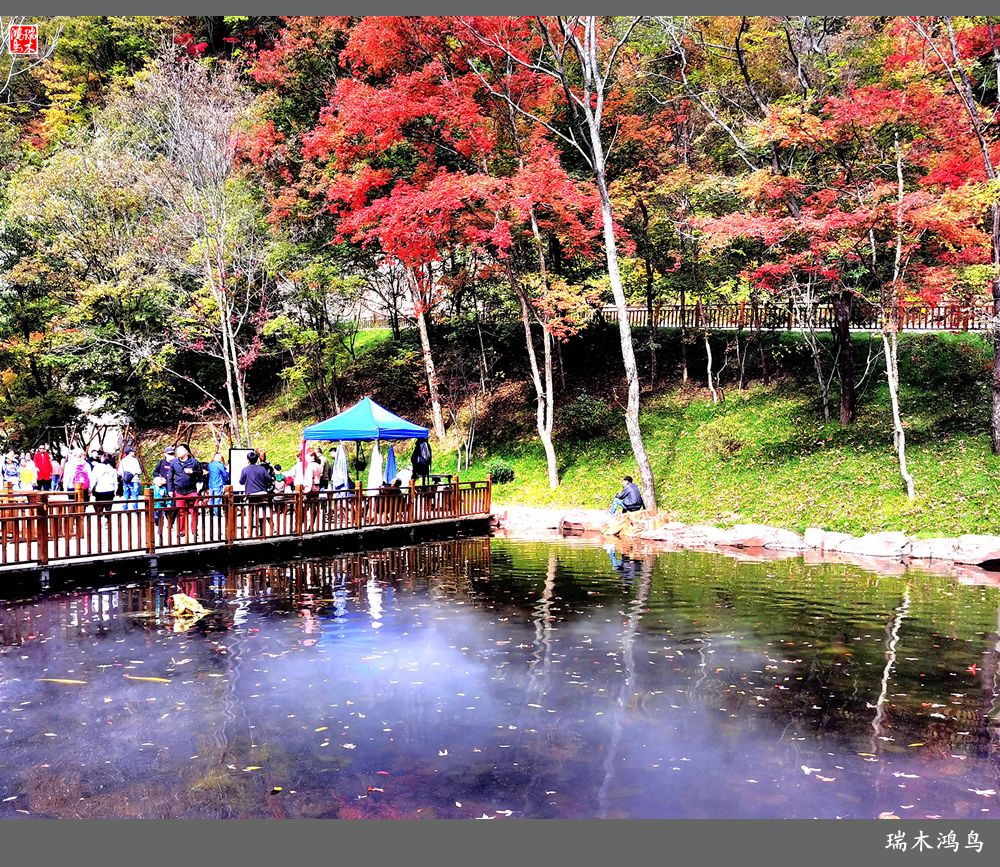 【秋游本溪】6.关门山关不住的秋色
