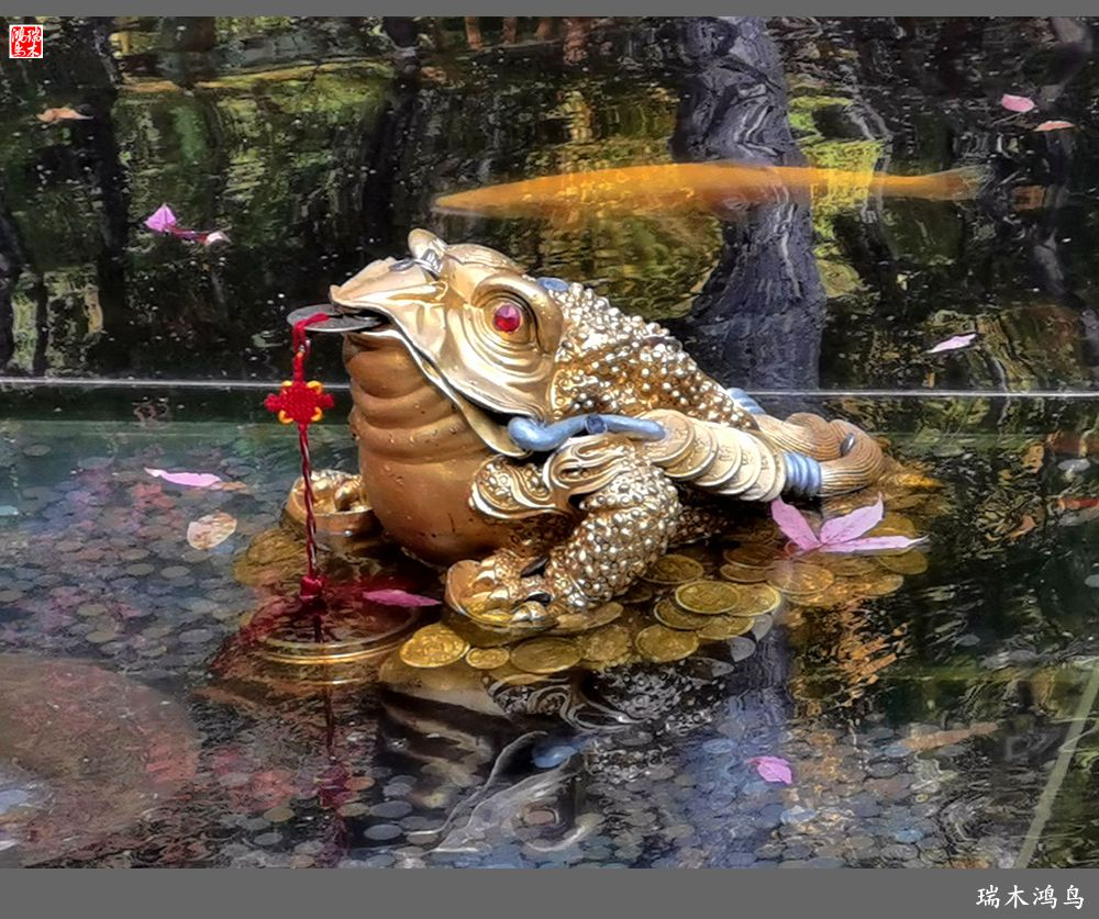 【秋游本溪】6.关门山关不住的秋色