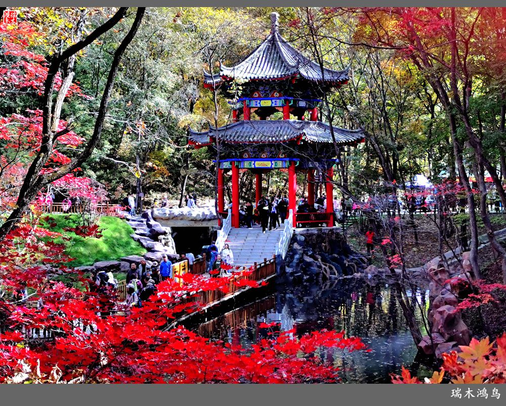 【秋游本溪】6.关门山关不住的秋色