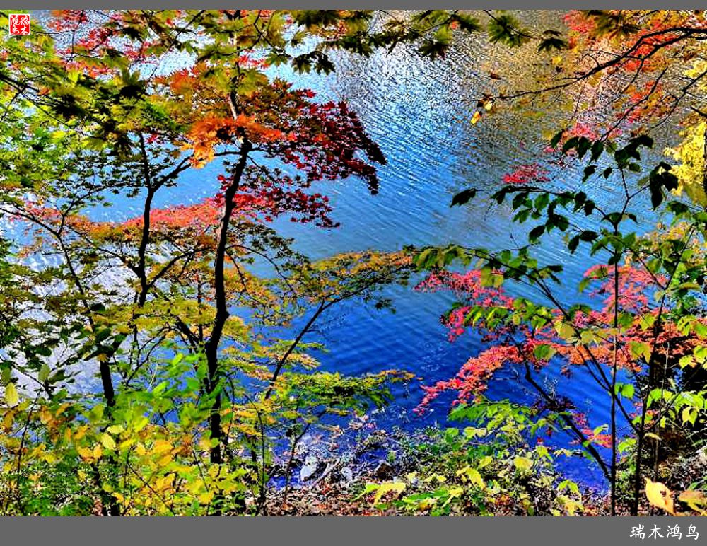 【秋游本溪】6.关门山关不住的秋色