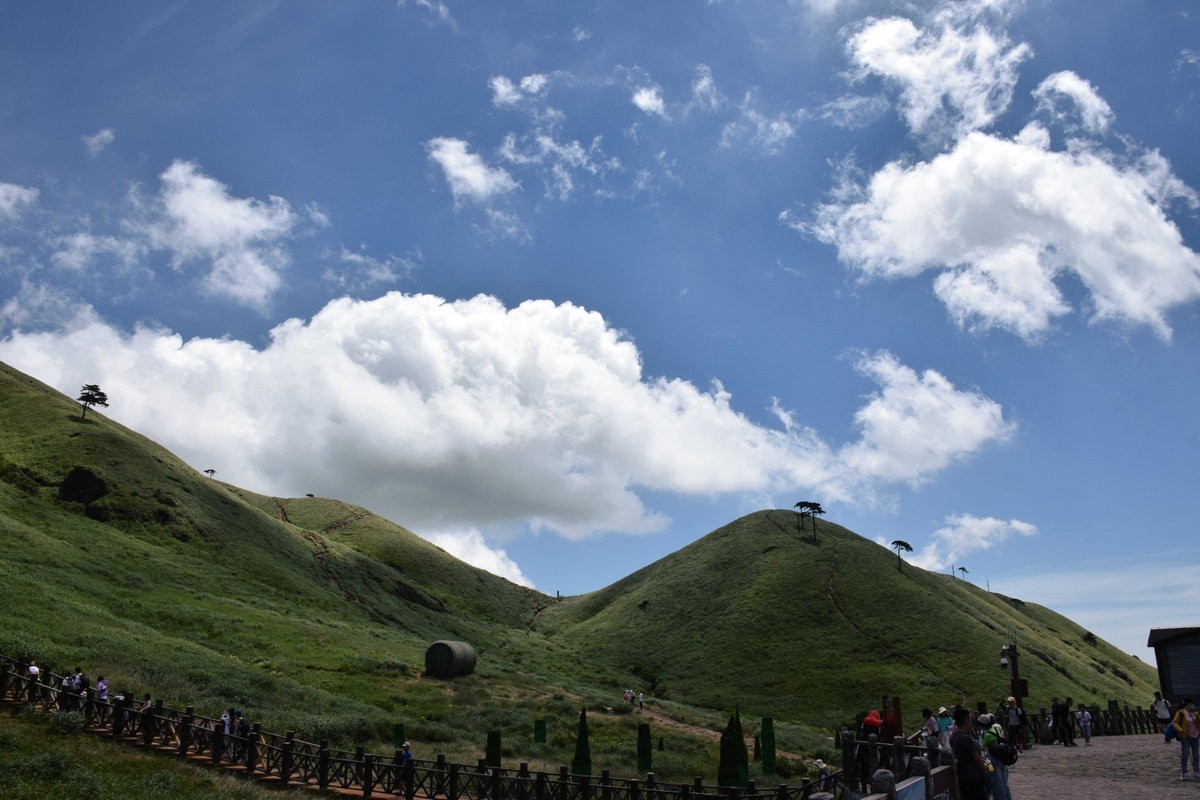2021夏 渝川赣（37）高山草甸奇观