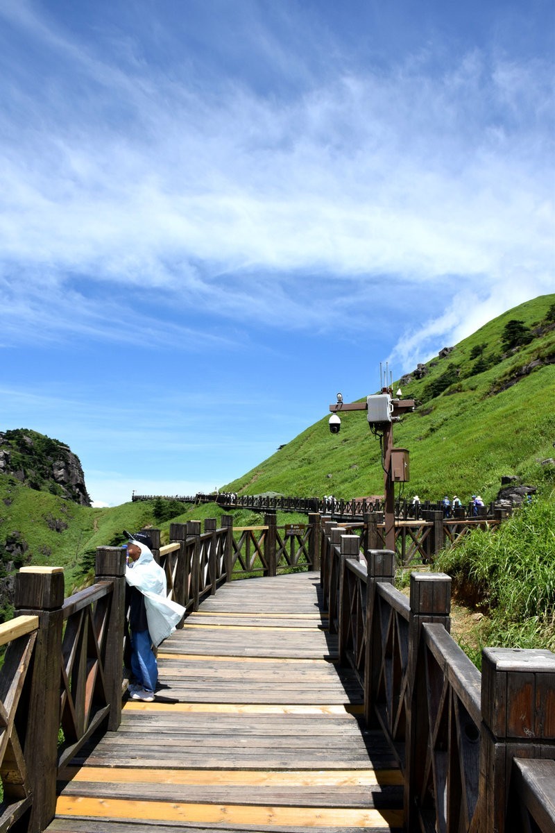 2021夏 渝川赣（37）高山草甸奇观