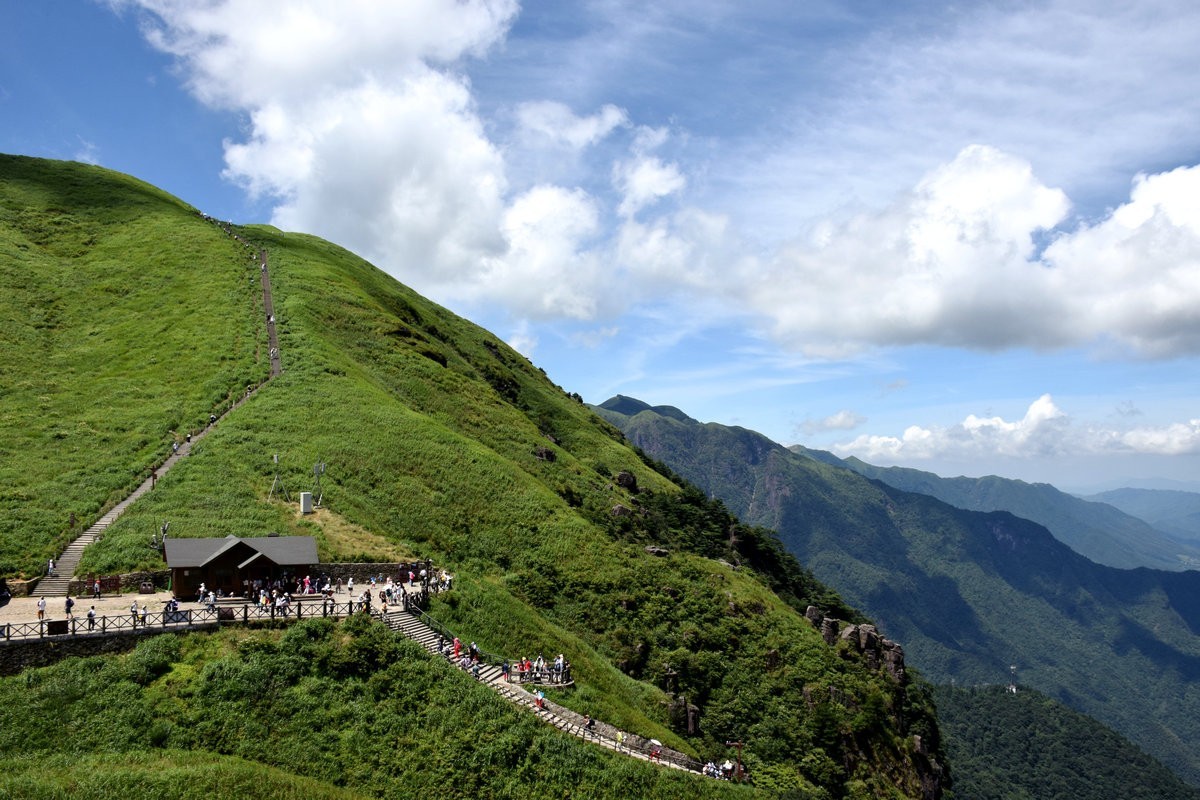 2021夏 渝川赣（37）高山草甸奇观