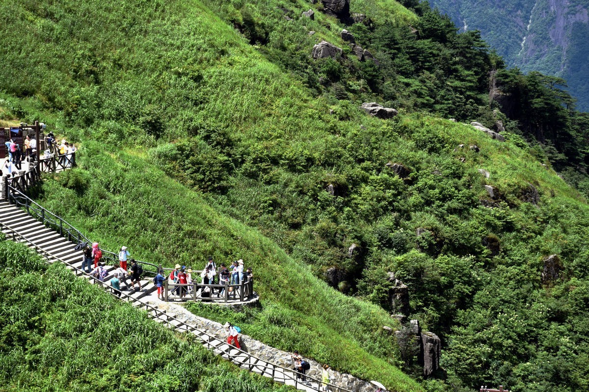 2021夏 渝川赣（37）高山草甸奇观