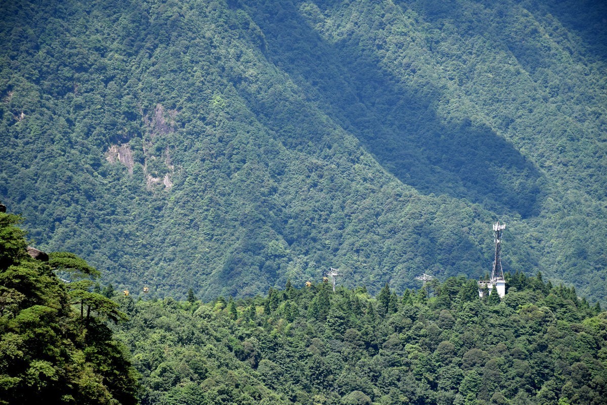 2021夏 渝川赣（37）高山草甸奇观