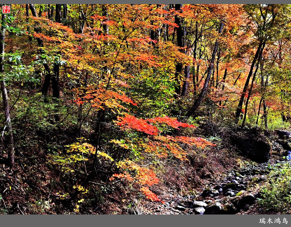 【秋游本溪】6.关门山关不住的秋色