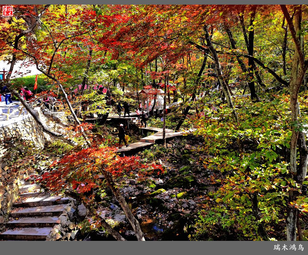 【秋游本溪】6.关门山关不住的秋色