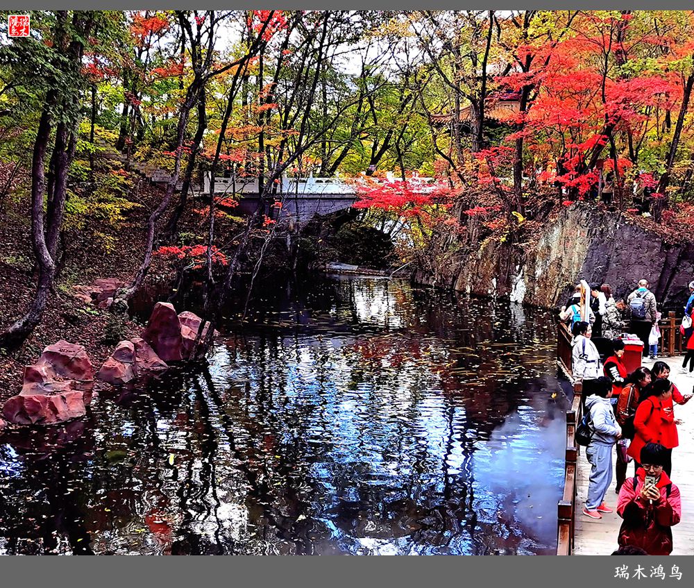 【秋游本溪】6.关门山关不住的秋色