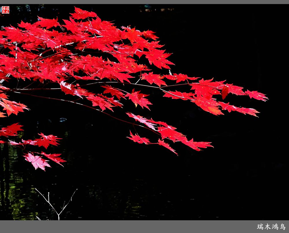 【秋游本溪】6.关门山关不住的秋色