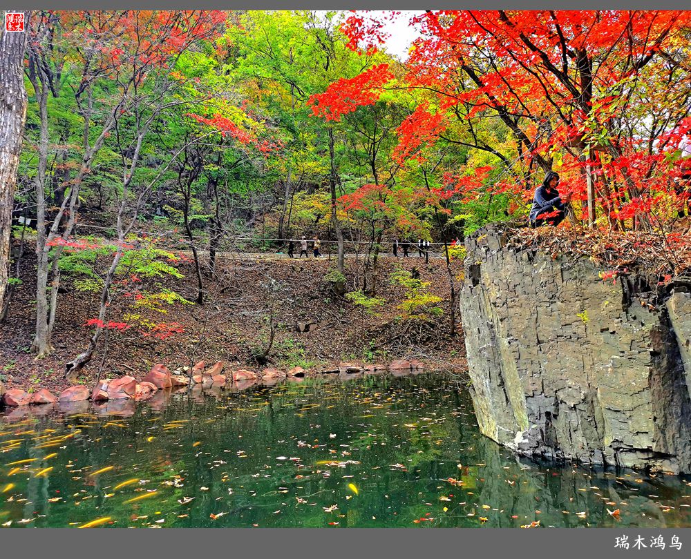 【秋游本溪】6.关门山关不住的秋色