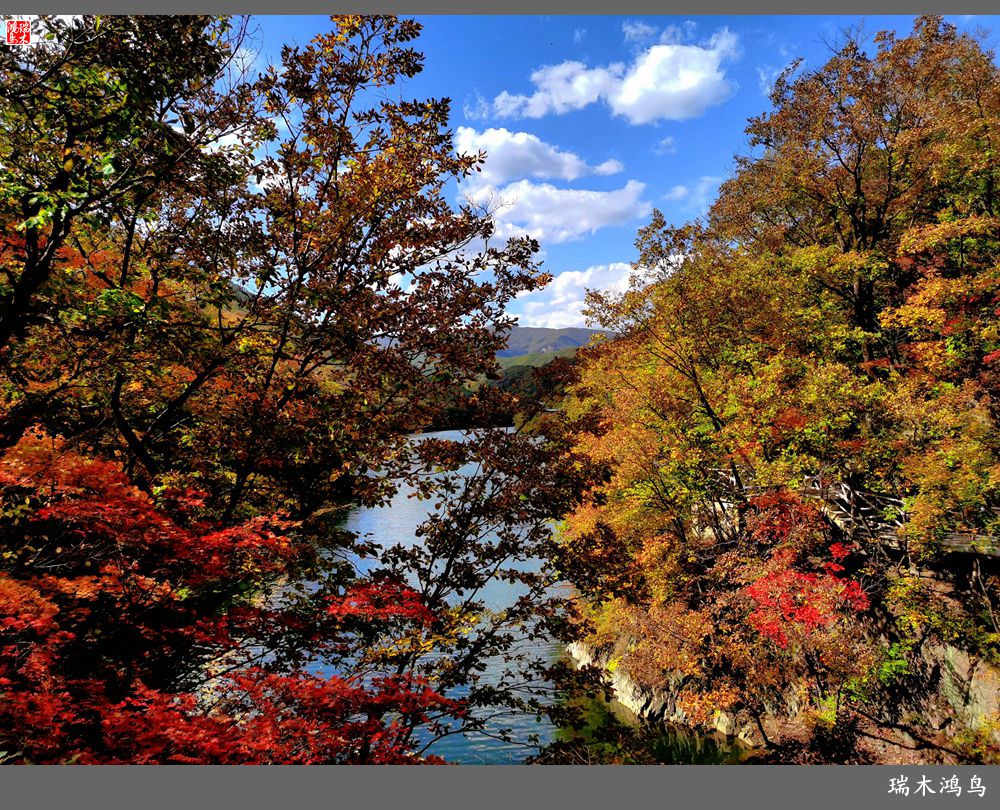 【秋游本溪】6.关门山关不住的秋色