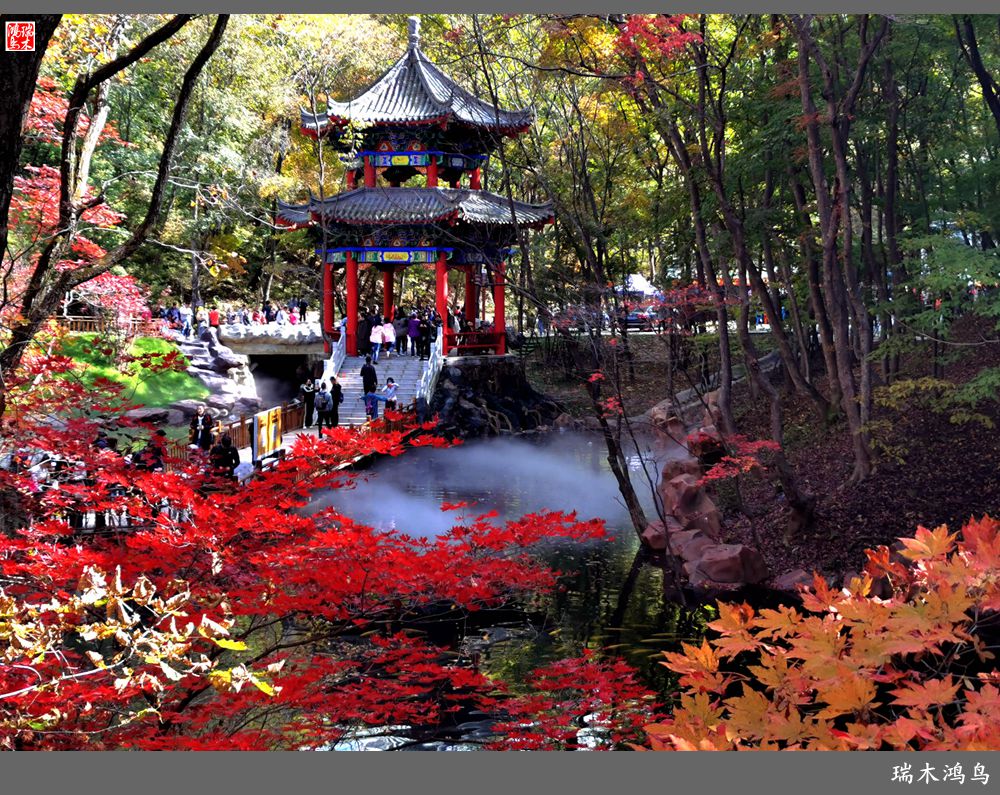 【秋游本溪】6.关门山关不住的秋色