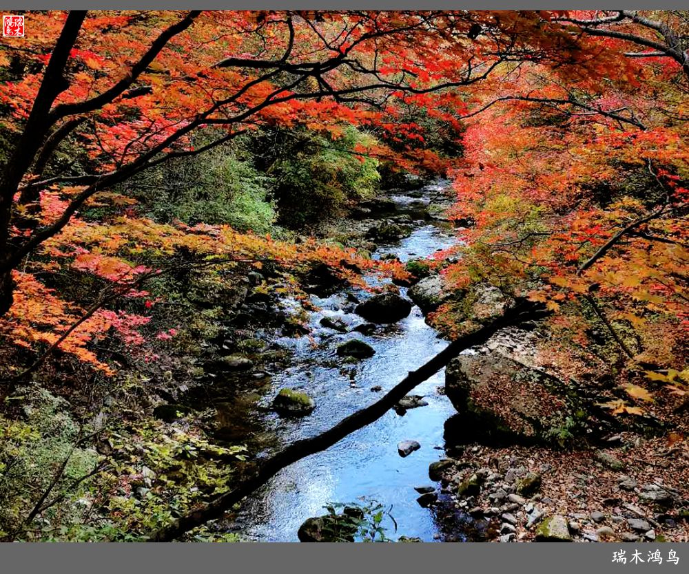 【秋游本溪】6.关门山关不住的秋色