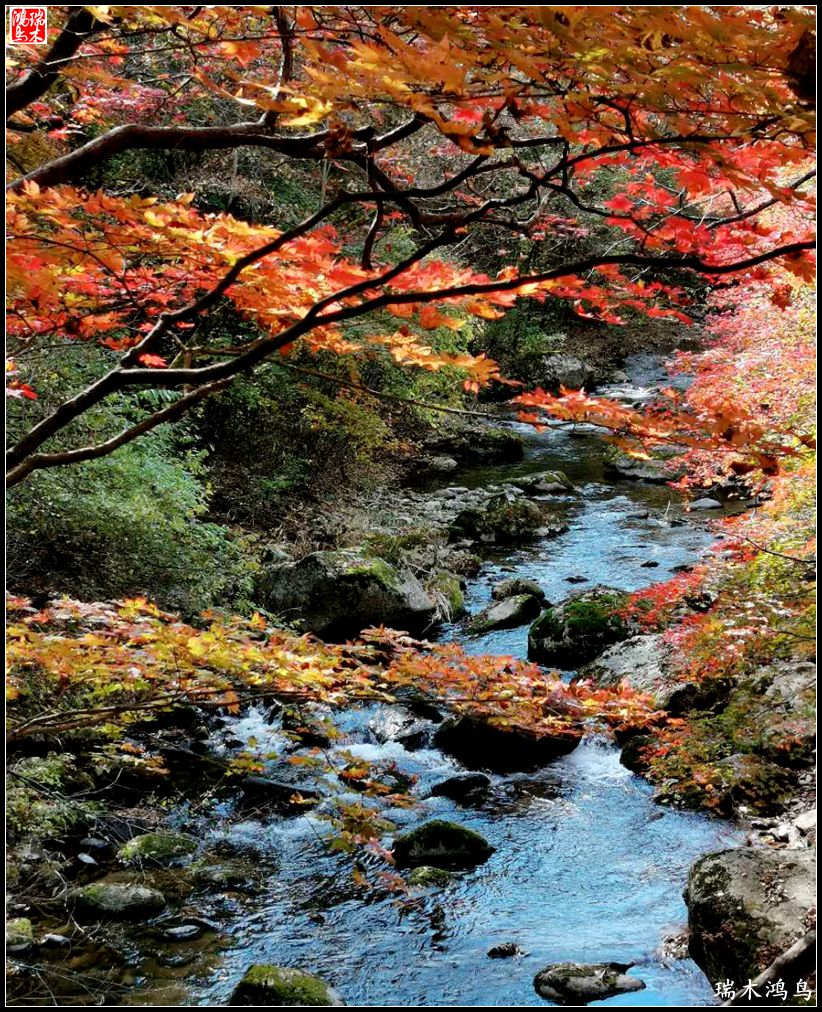 【秋游本溪】6.关门山关不住的秋色