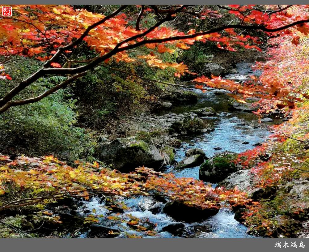 【秋游本溪】6.关门山关不住的秋色