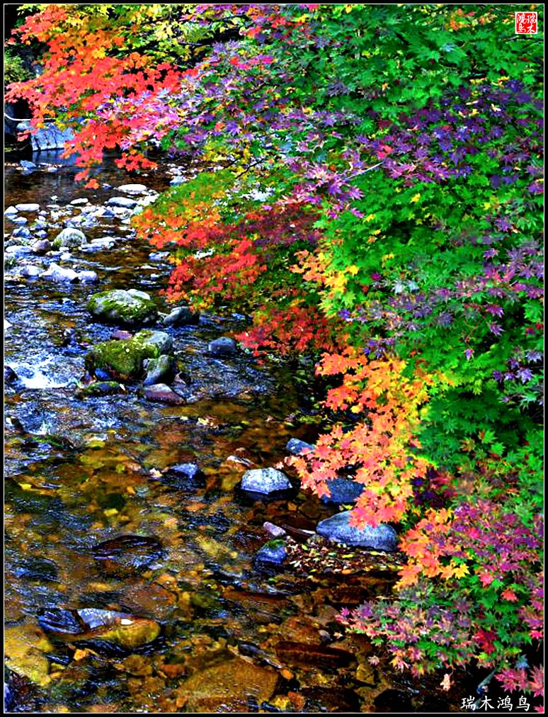 【秋游本溪】6.关门山关不住的秋色