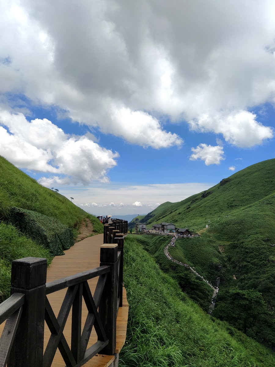 2021夏 渝川赣（37）高山草甸奇观