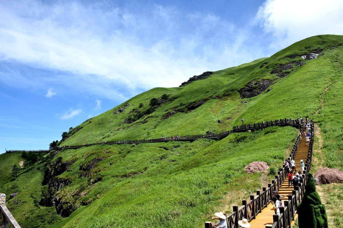 2021夏 渝川赣（37）高山草甸奇观