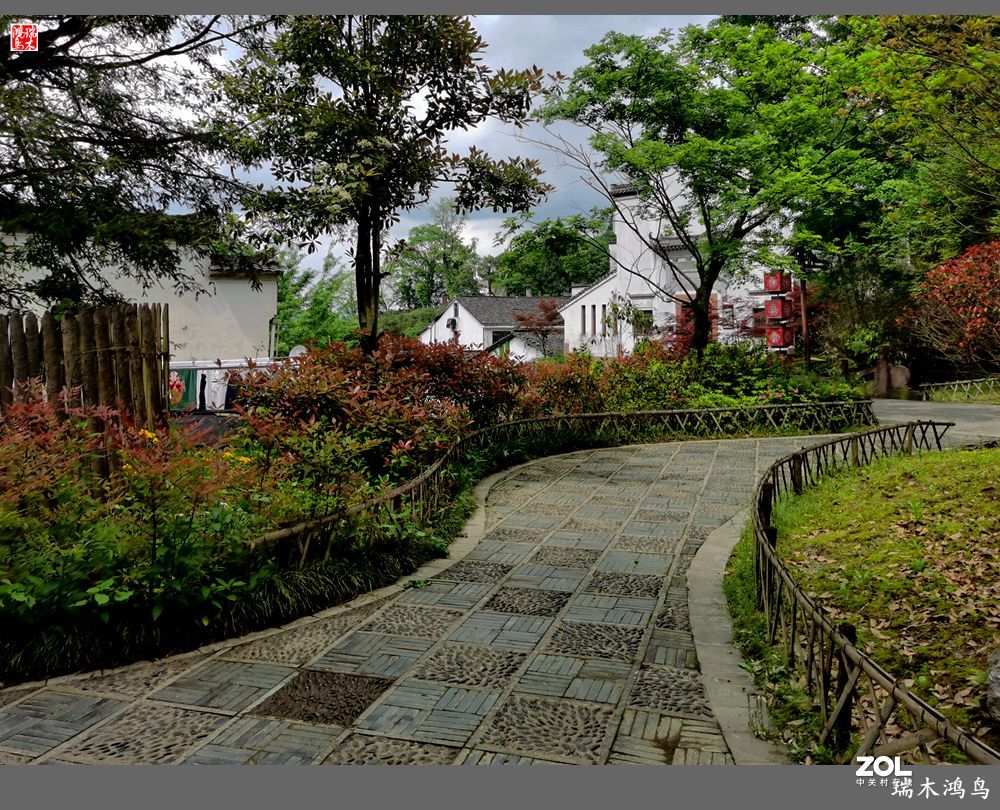 【皖南行】12.悠然望山  隐寓齐云