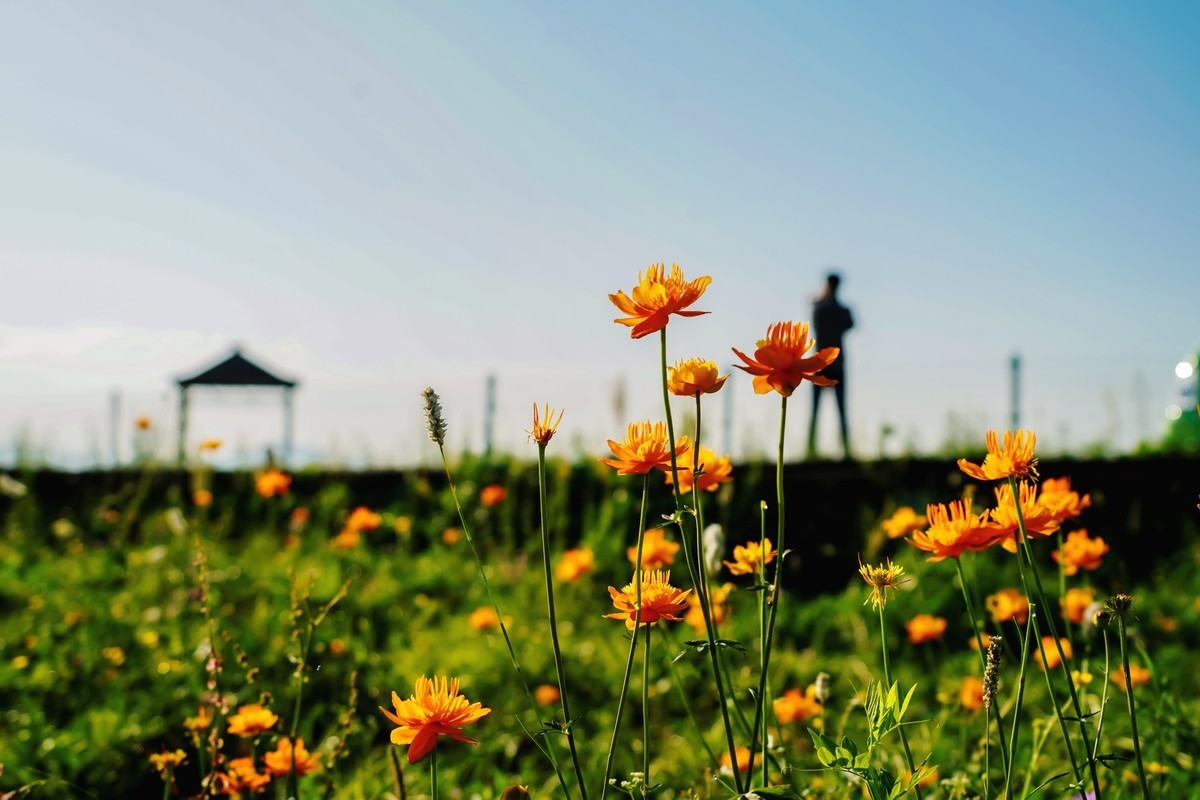夏日避暑圣地-京北草原大汗行宫