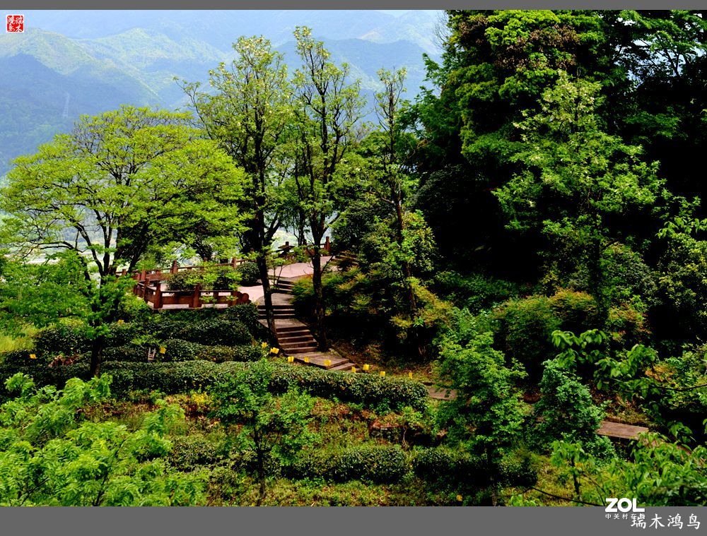 【皖南行】12.悠然望山  隐寓齐云