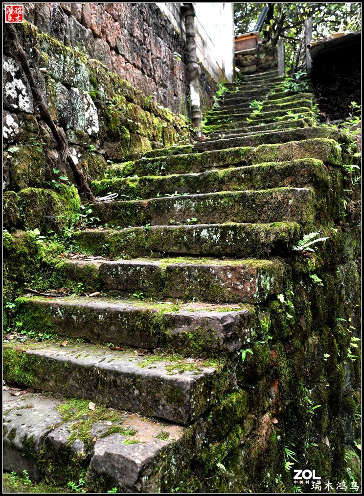 【皖南行】12.悠然望山  隐寓齐云