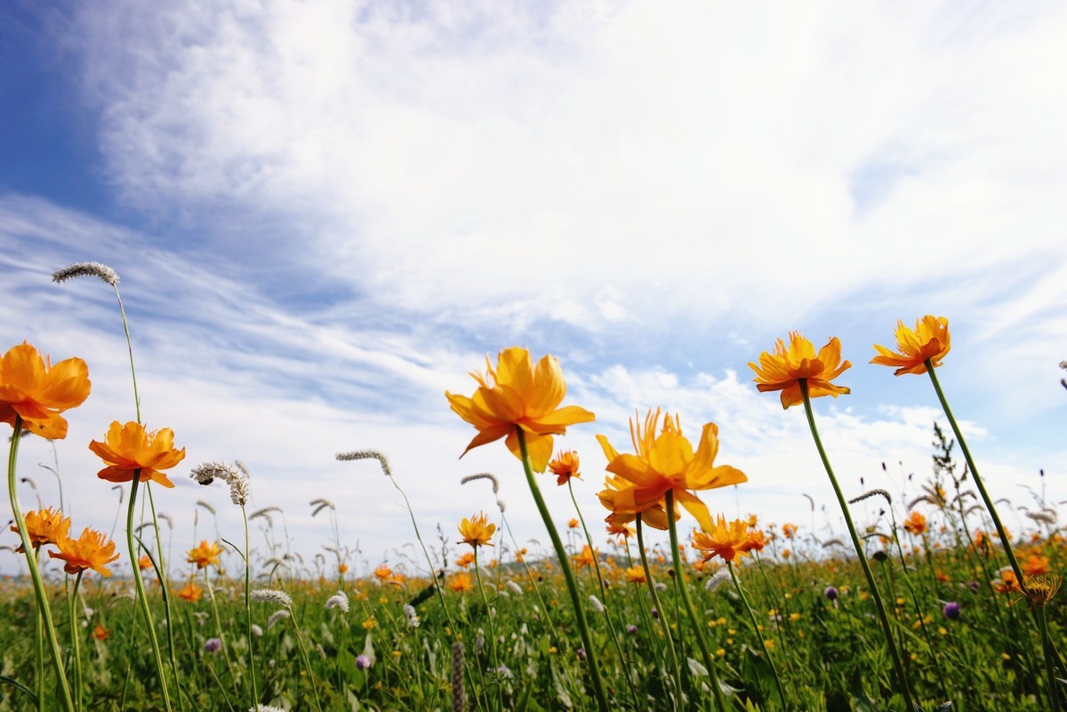 夏日避暑圣地-京北草原大汗行宫