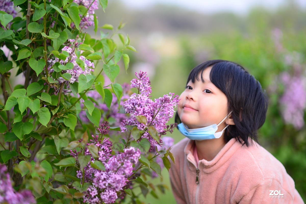 待到春花烂漫时，她在丛中笑
