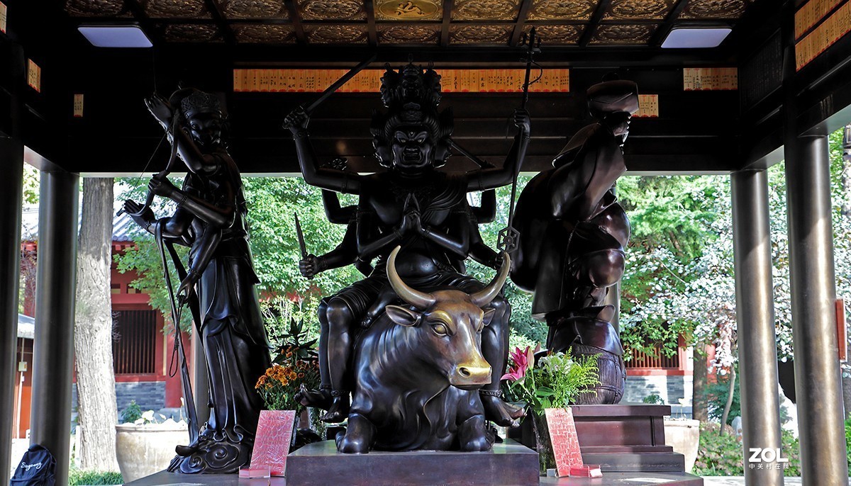 行摄西安大兴善寺