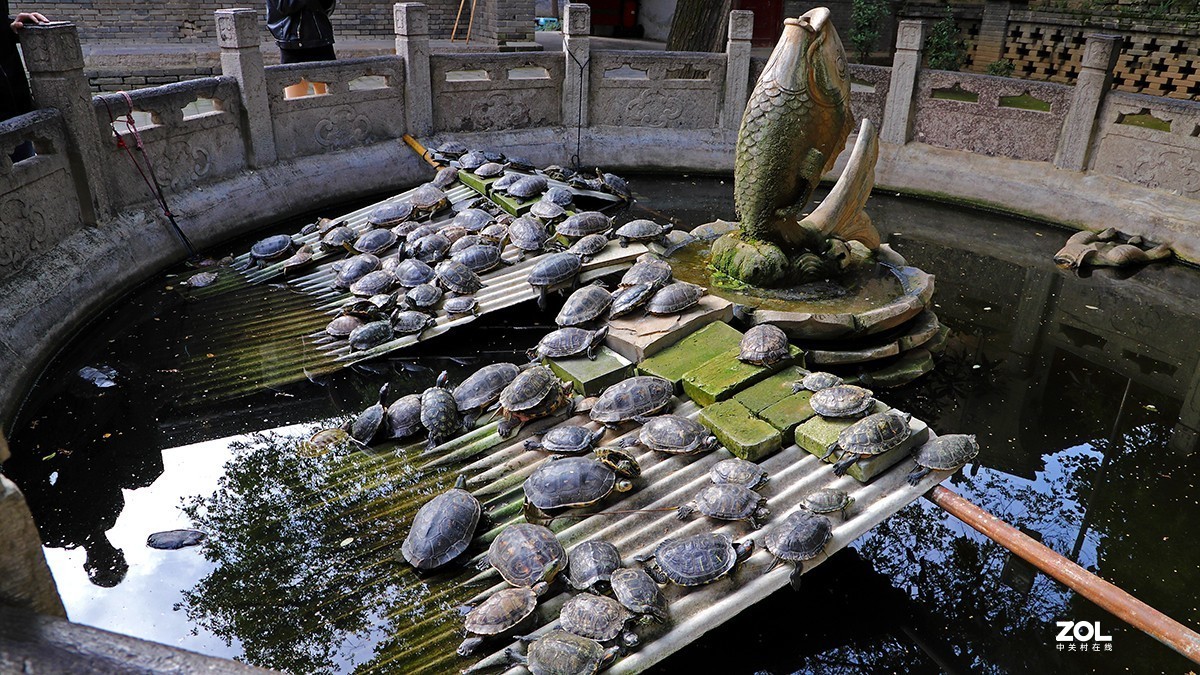 行摄西安大兴善寺