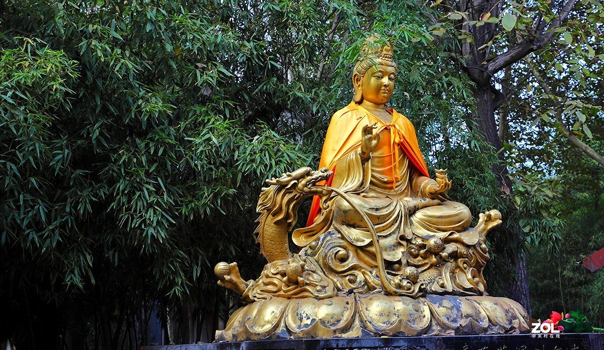 行摄西安大兴善寺