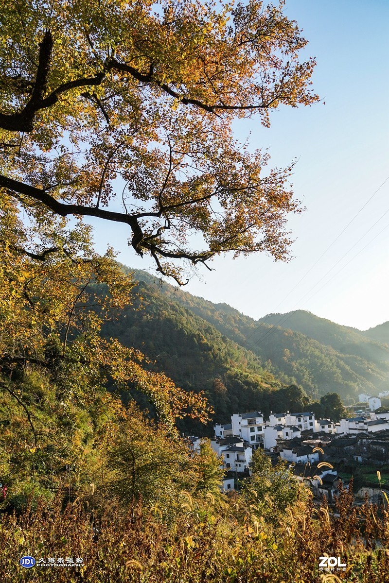 2020长溪村（六）