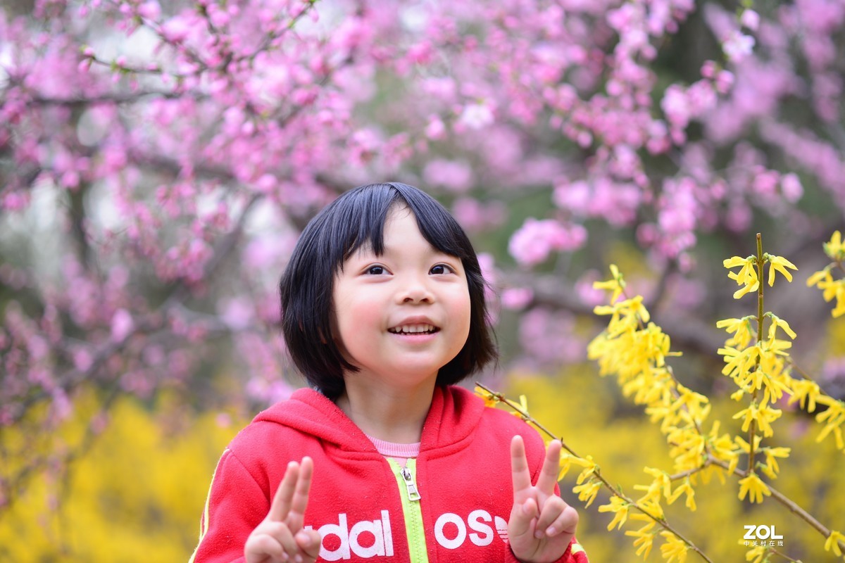 待到春花烂漫时，她在丛中笑