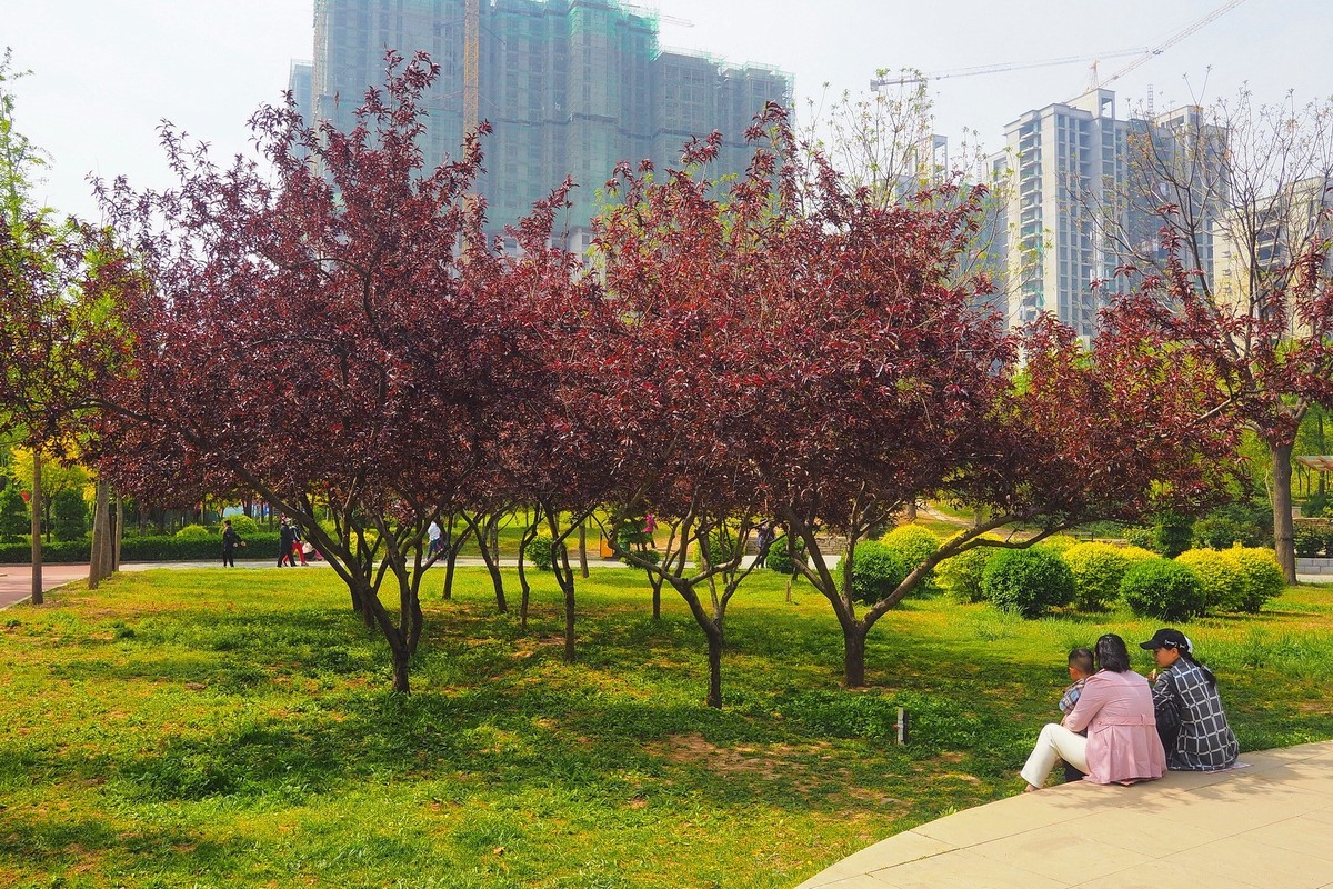 石家庄退役军人主题公园