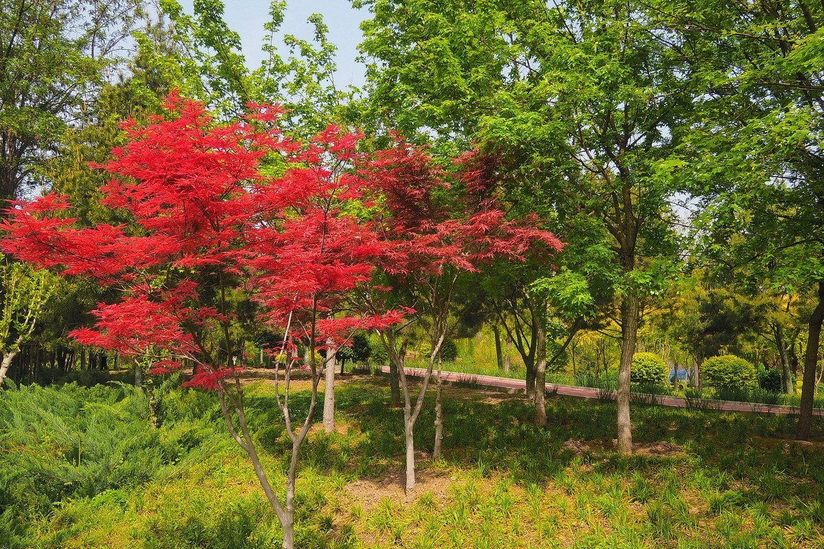 石家庄退役军人主题公园