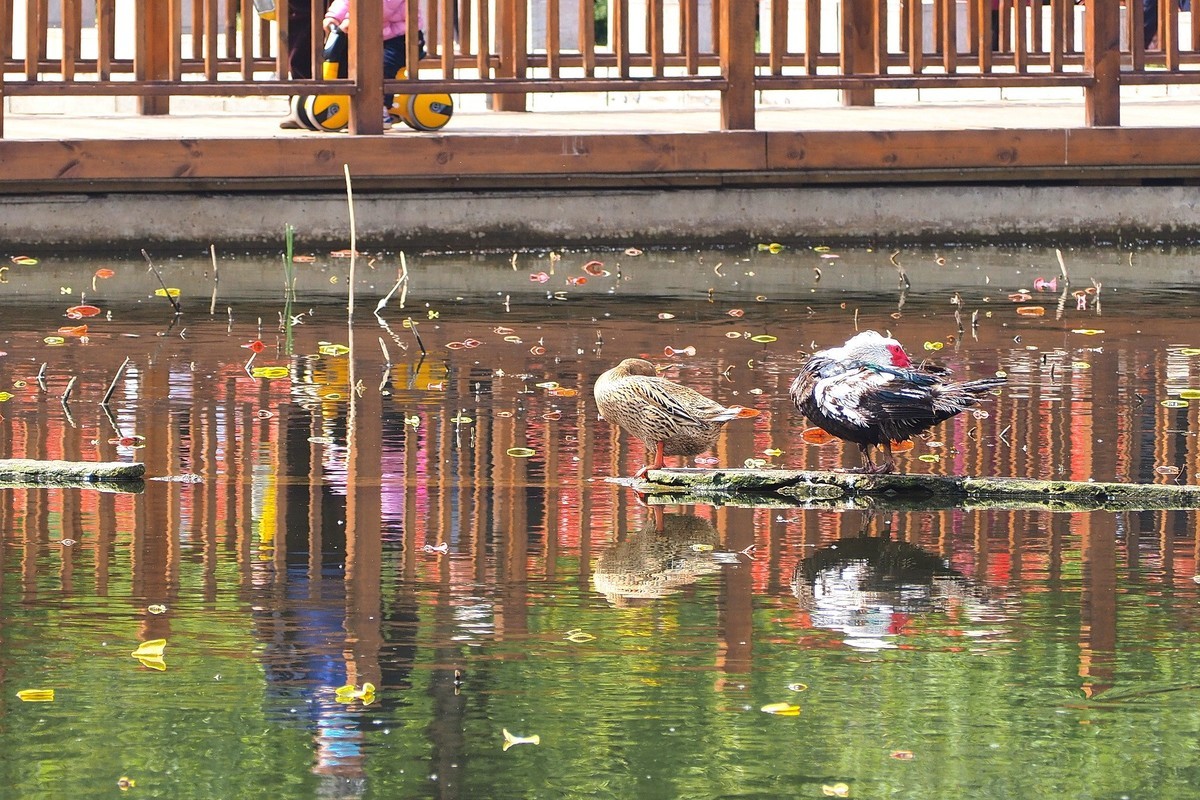 石家庄退役军人主题公园