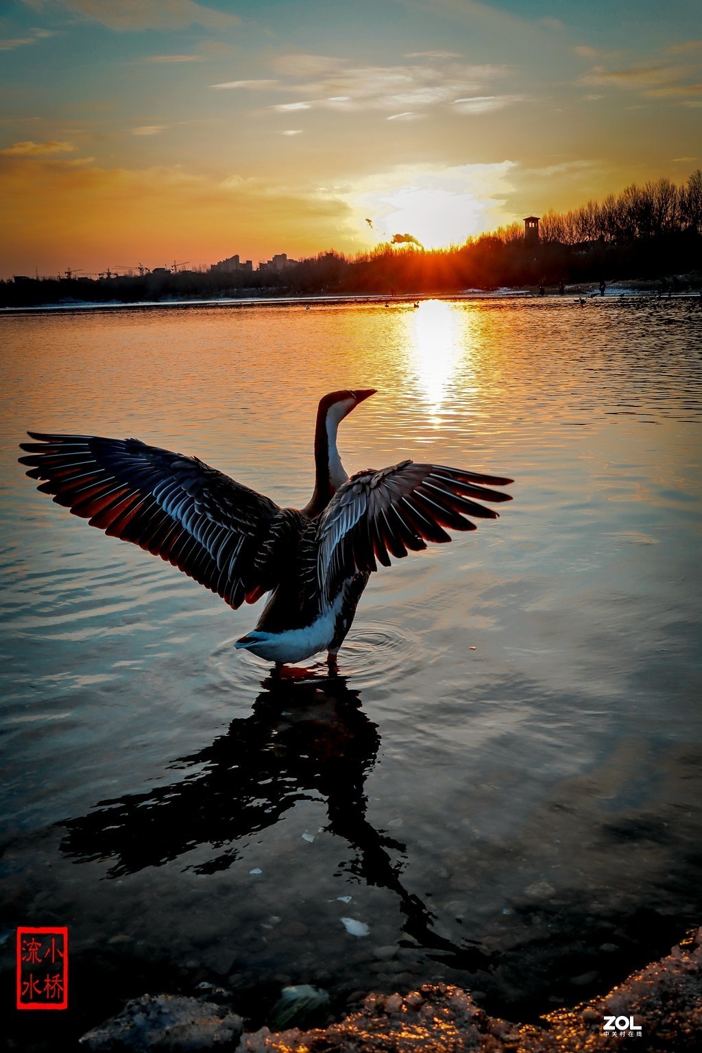 1024_1536竖版 竖屏