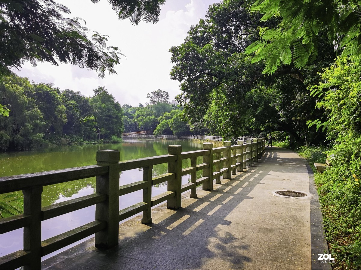 深圳東湖公園掠影