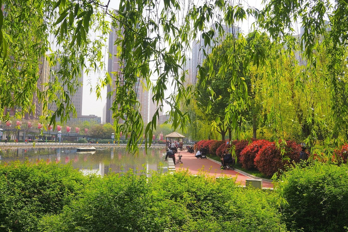 石家庄退役军人主题公园