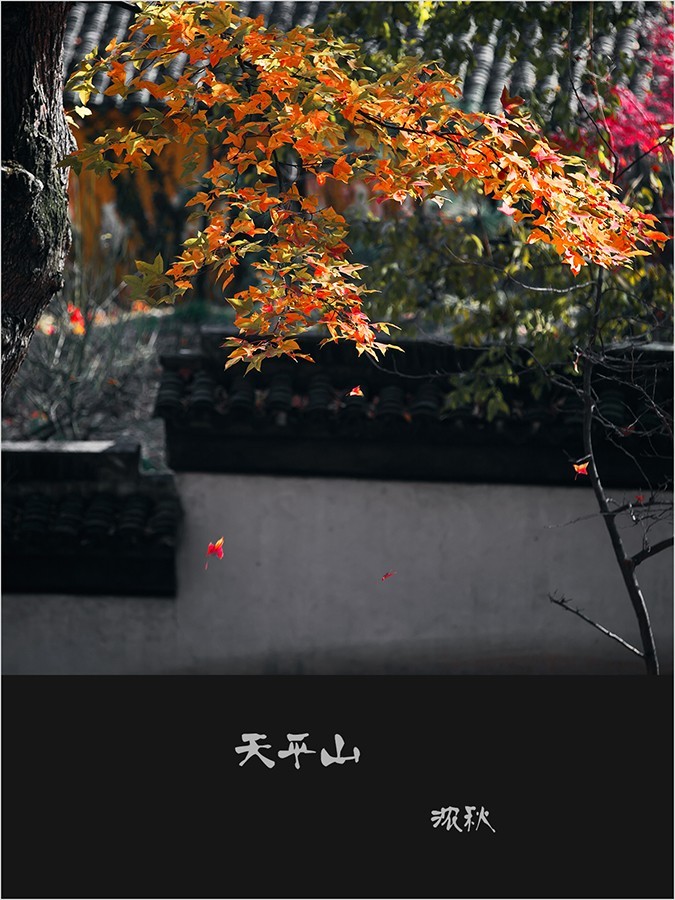 天平山深秋小景