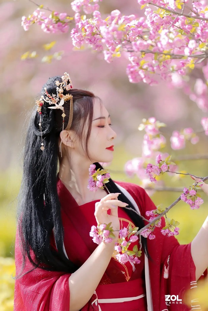 花容-中关村在线摄影论坛