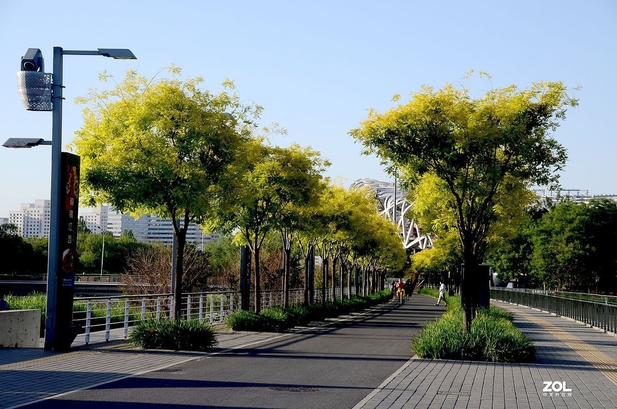 奥 林 广 场 风 景 ------。