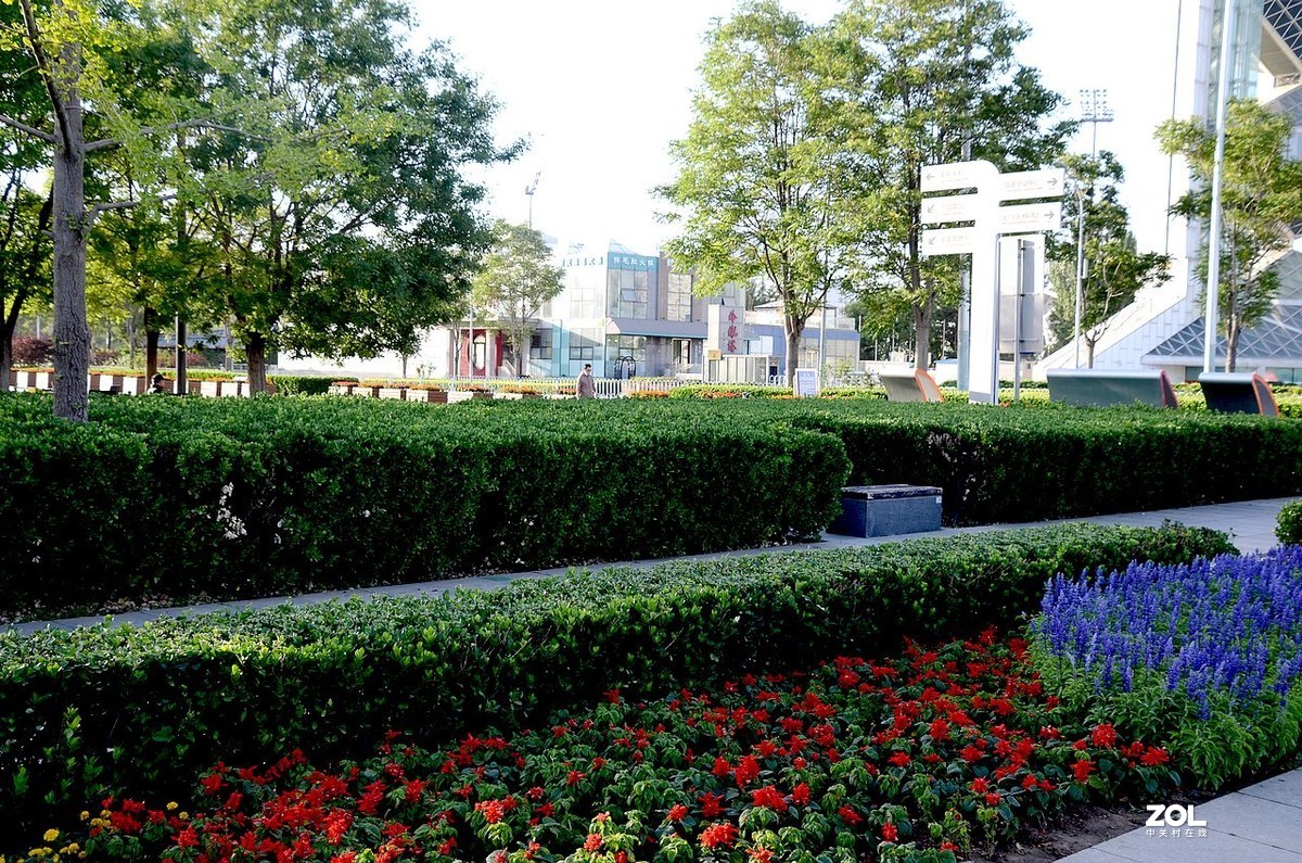 奥 林 广 场 风 景 ------。